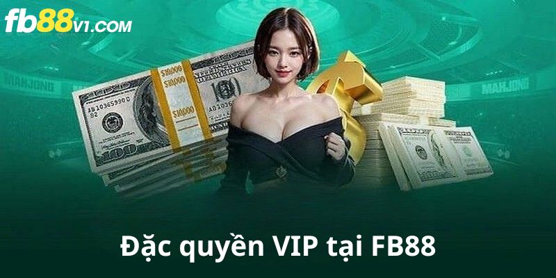 Lợi ích đặc biệt cho VIP