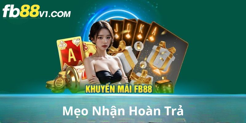 Mẹo nhận hoàn trả cao nhất