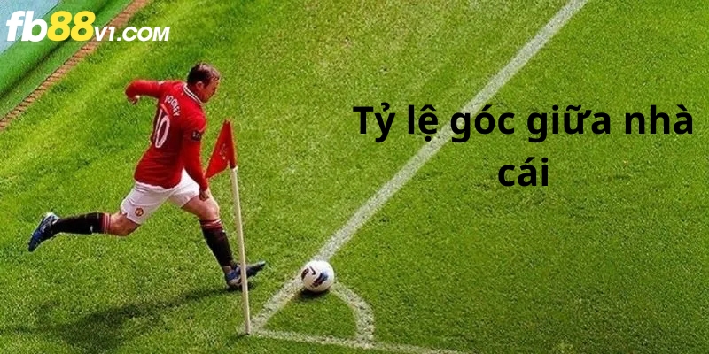 FB88 cập nhật tỷ lệ nhanh